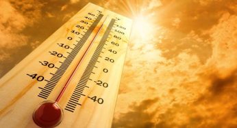 WMO Raporu: Son 10 Yıl, Tarihin En Sıcak Dönemi Olarak Kaydedildi